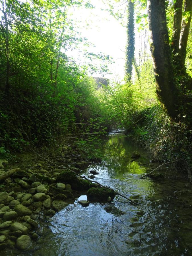 La Chambre Des Carrelets Montigny-sur-l'Ain Luaran gambar